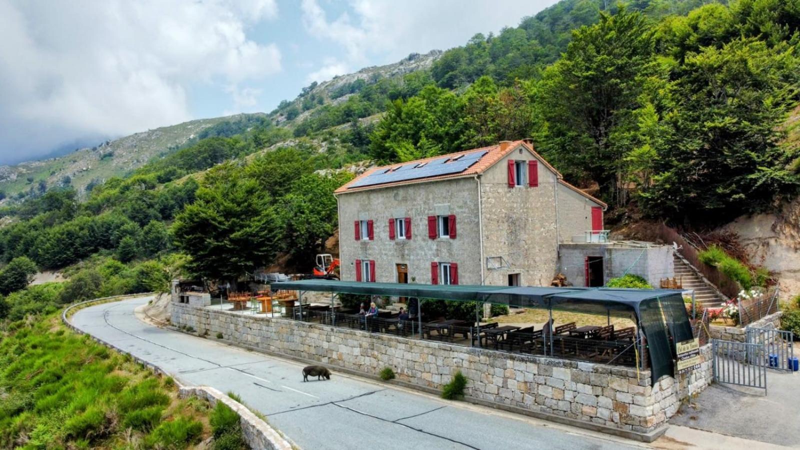 Ferme Auberge Du Col De La Vaccia Olivese Екстериор снимка