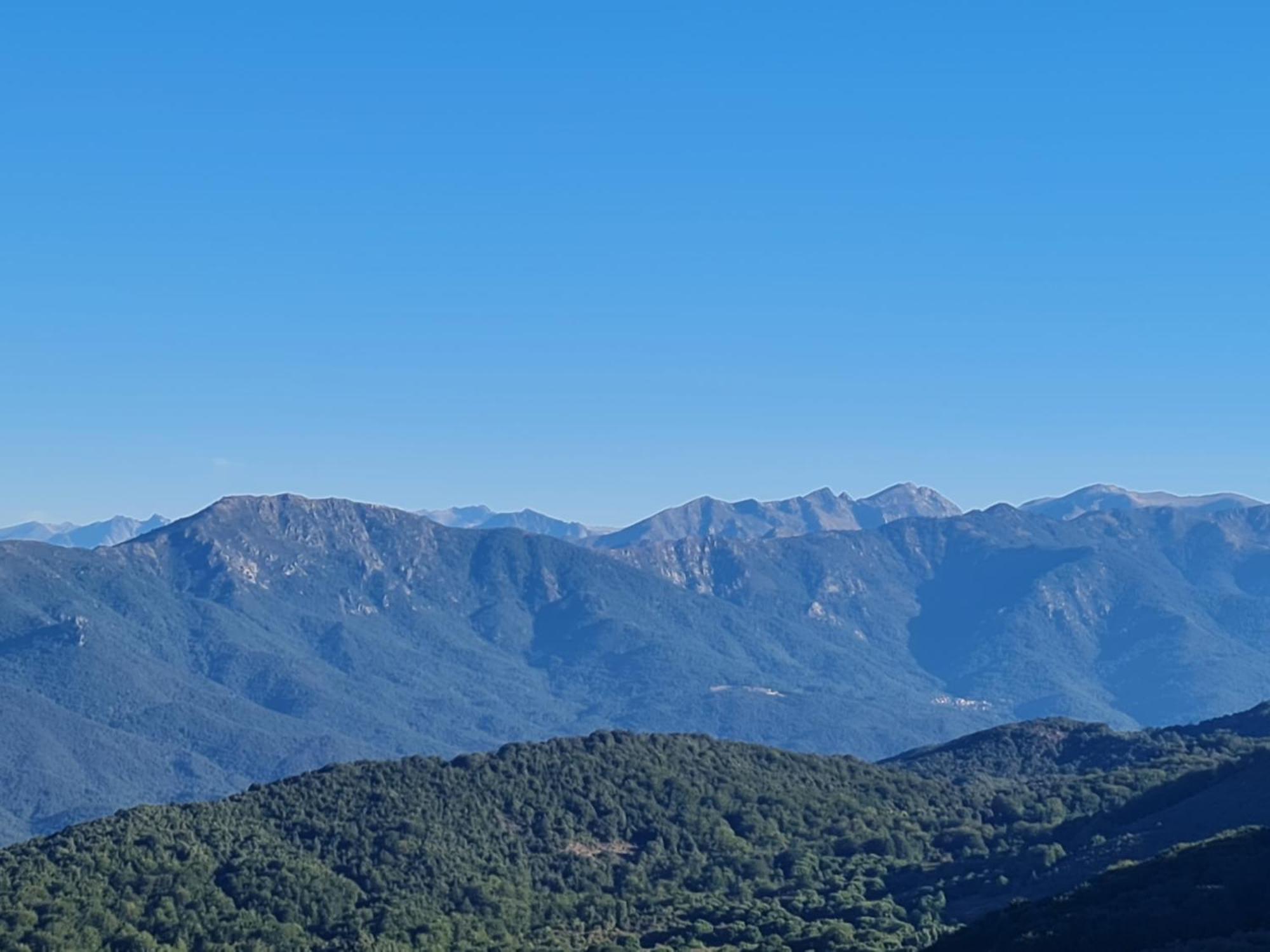 Ferme Auberge Du Col De La Vaccia Olivese Екстериор снимка